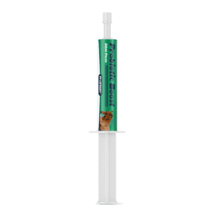 ProSTART Equine PROBIOTIC Boost GEL 80mL