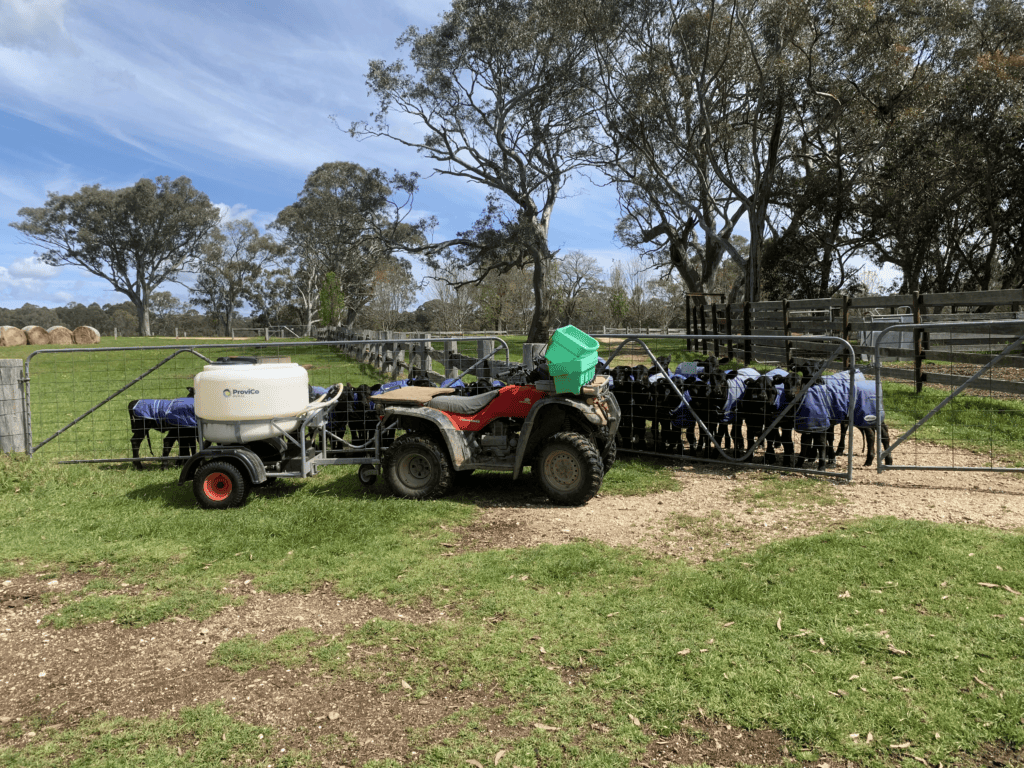 Tablelands Pastoral farming operation