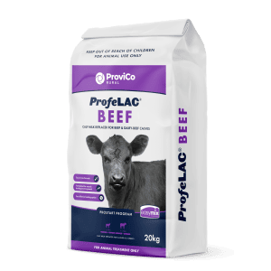 ProfeLAC BEEF Calf Milk Replacer